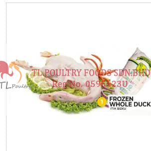 PG FROZEN WHOLE DUCK 1.7KG (RM18.00/KG)