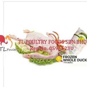 PG FROZEN WHOLE DUCK 2.8KG (RM14.50/KG)